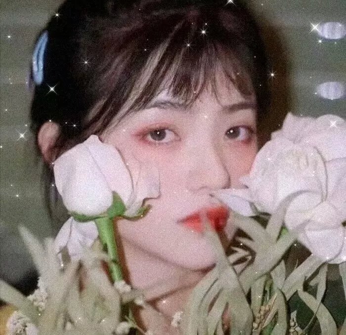 少年不哭